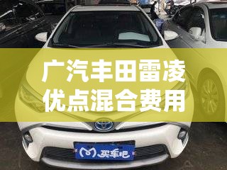 广汽丰田雷凌优点混合费用/广汽丰田雷凌双擎油电混合费用 广汽丰田雷凌优点混合费用/广汽丰田雷凌双擎油电混合费用