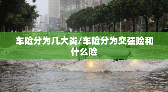 车险分为几大类/车险分为交强险和什么险