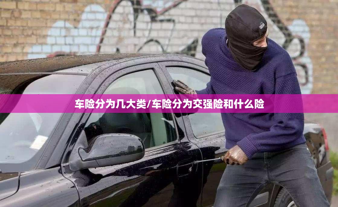 车险分为几大类/车险分为交强险和什么险