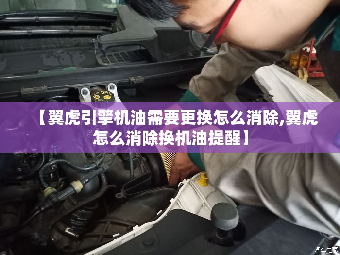 【翼虎引擎机油需要更换怎么消除,翼虎怎么消除换机油提醒】