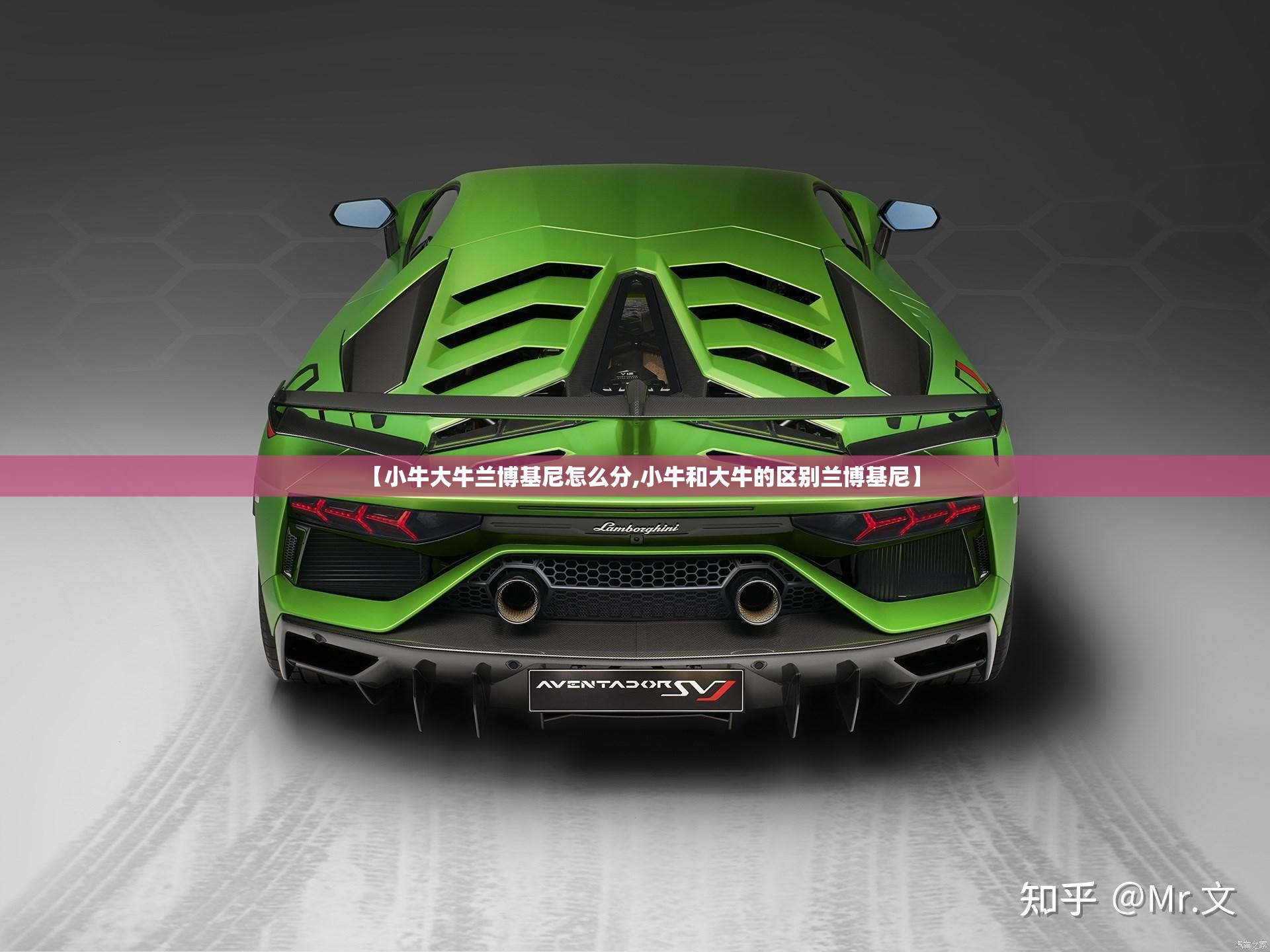 【小牛大牛兰博基尼怎么分,小牛和大牛的区别兰博基尼】