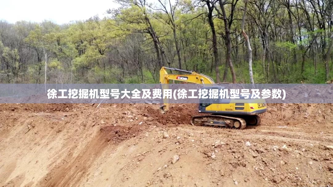 徐工挖掘机型号大全及费用(徐工挖掘机型号及参数) 徐工挖掘机型号大全及费用(徐工挖掘机型号及参数)