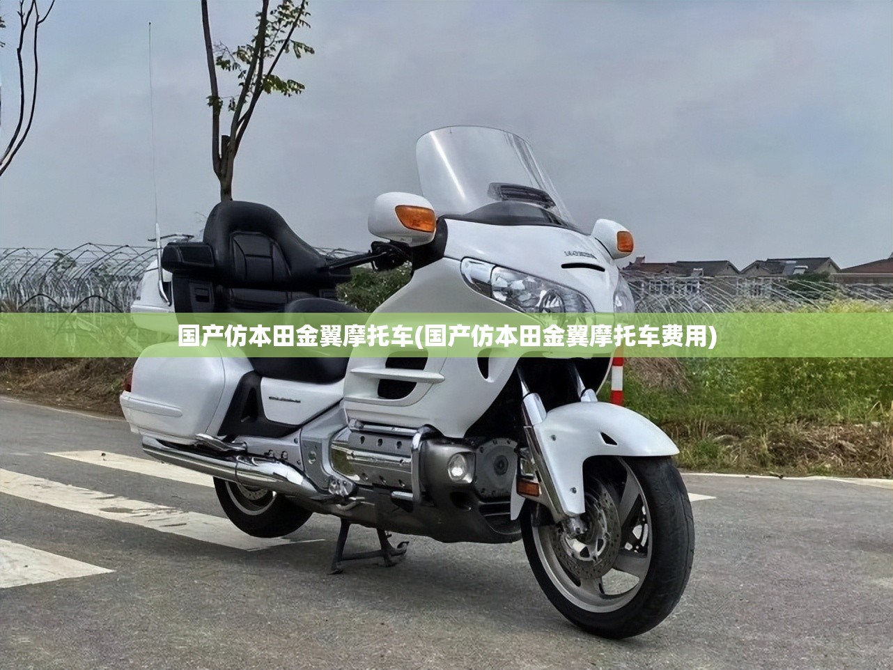 国产仿本田金翼摩托车(国产仿本田金翼摩托车费用) 国产仿本田金翼摩托车(国产仿本田金翼摩托车费用)