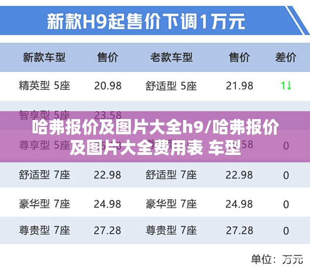 哈弗报价及图片大全h9/哈弗报价及图片大全费用表 车型