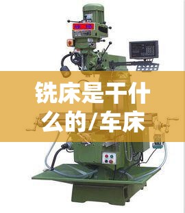 电动车车型全部图片(电动车车型大全)
