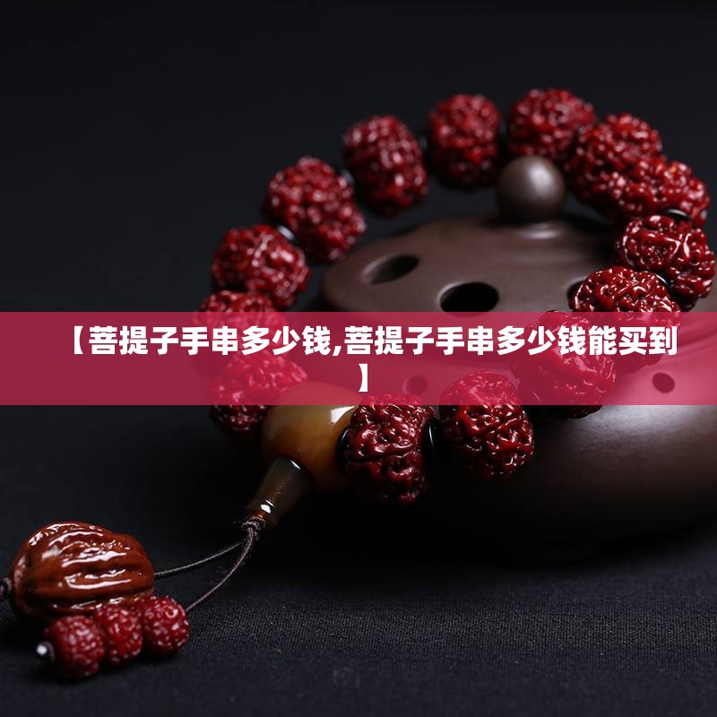 【菩提子手串多少钱,菩提子手串多少钱能买到】