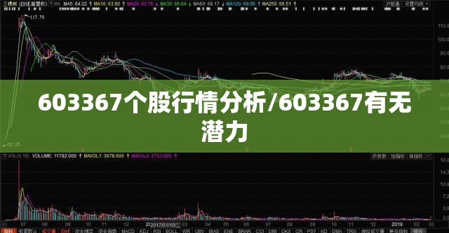 603367个股行情分析/603367有无潜力