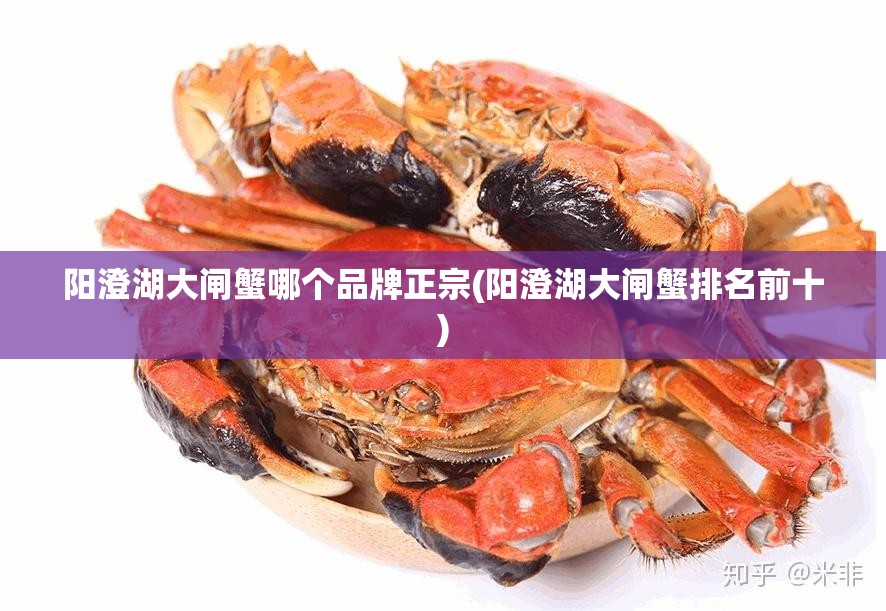 阳澄湖大闸蟹哪个品牌正宗(阳澄湖大闸蟹排名前十)