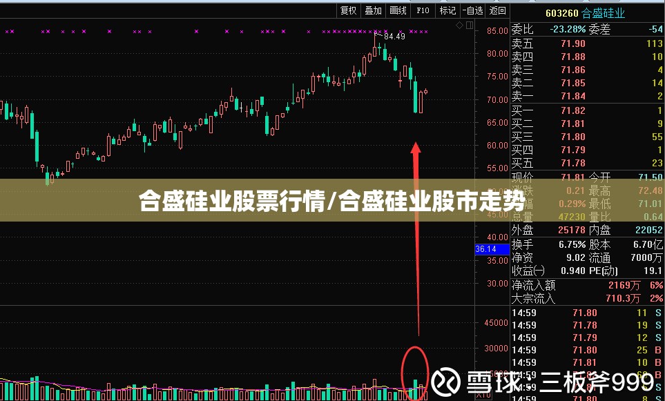 合盛硅业股票行情/合盛硅业股市走势 合盛硅业股票行情/合盛硅业股市走势