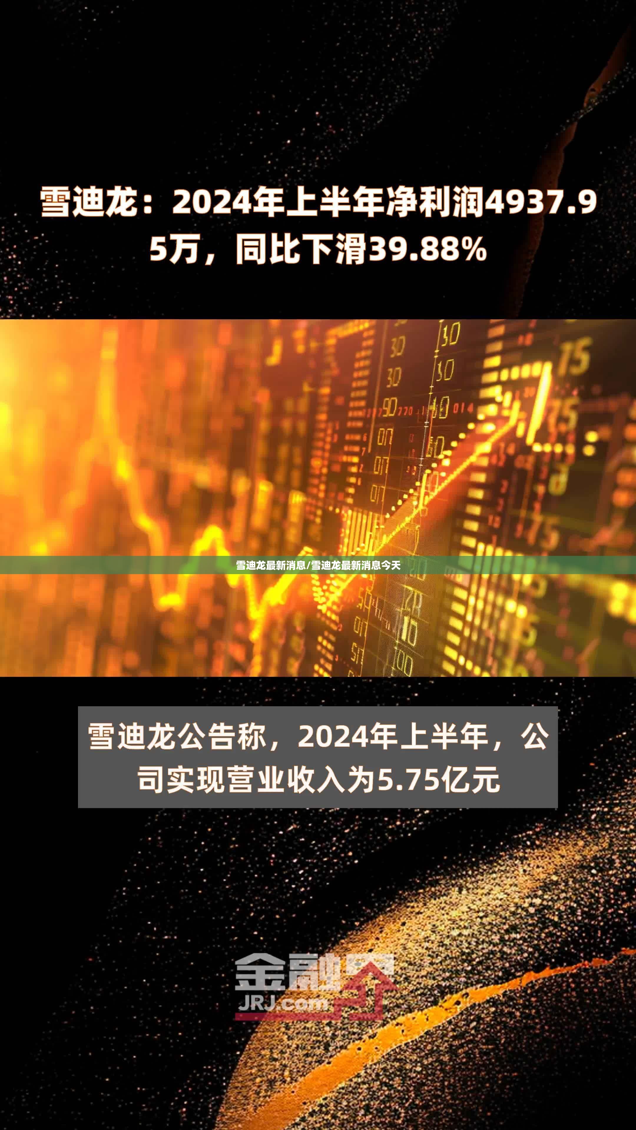 雪迪龙最新消息/雪迪龙最新消息今天
