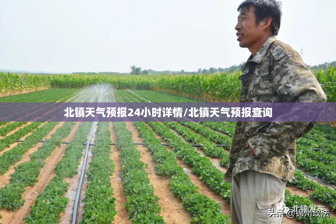 北镇天气预报24小时详情/北镇天气预报查询