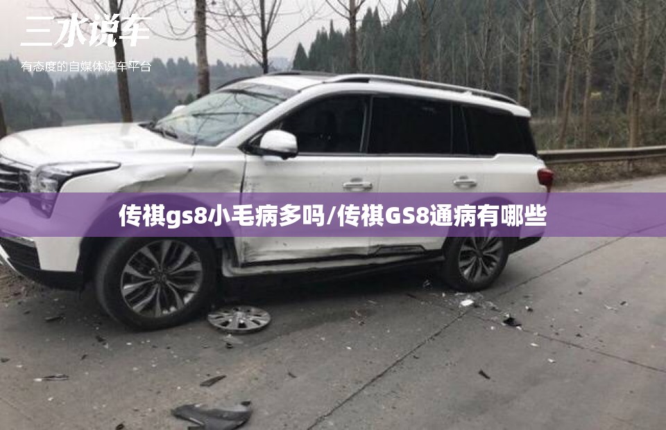 传祺gs8小毛病多吗/传祺GS8通病有哪些