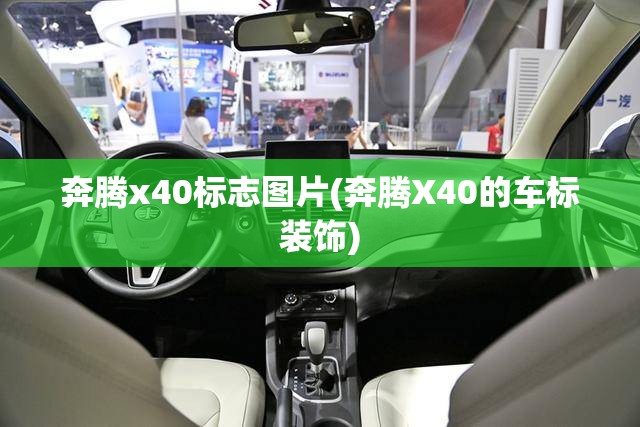 奔腾x40标志图片(奔腾X40的车标装饰)