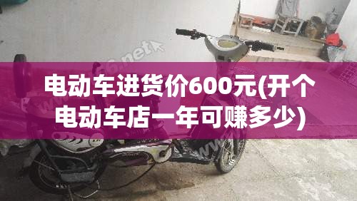 电动车进货价600元(开个电动车店一年可赚多少)