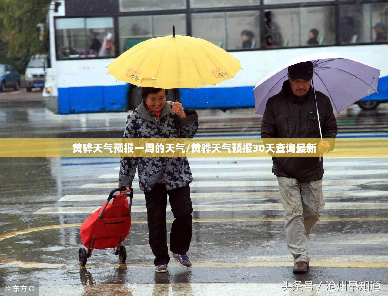 黄骅天气预报一周的天气/黄骅天气预报30天查询最新
