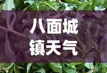 八面城镇天气预报(八面城镇天气预报15天) 八面城镇天气预报(八面城镇天气预报15天)