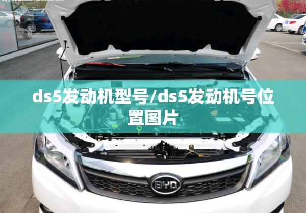ds5发动机型号/ds5发动机号位置图片