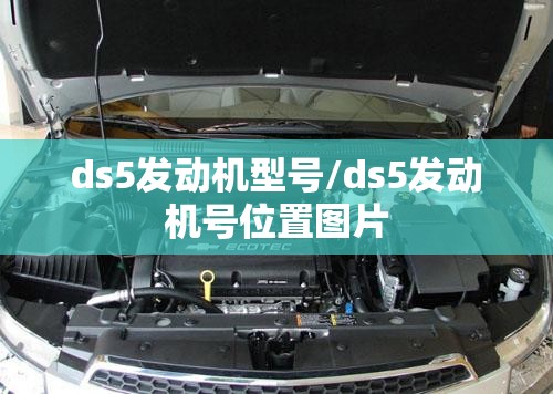 ds5发动机型号/ds5发动机号位置图片