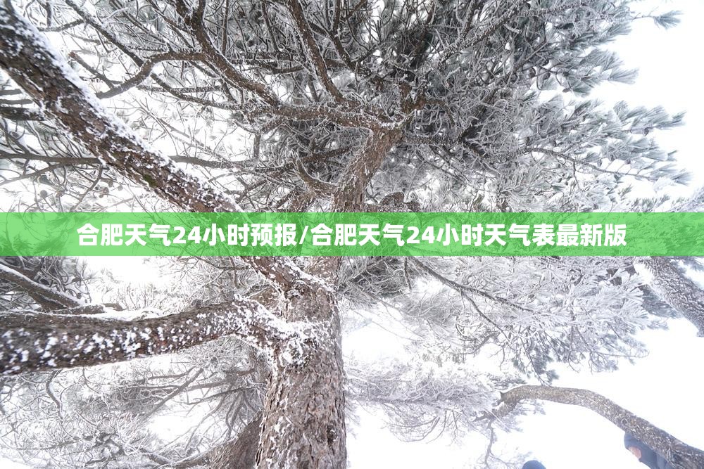 合肥天气24小时预报/合肥天气24小时天气表最新版 合肥天气24小时预报/合肥天气24小时天气表最新版