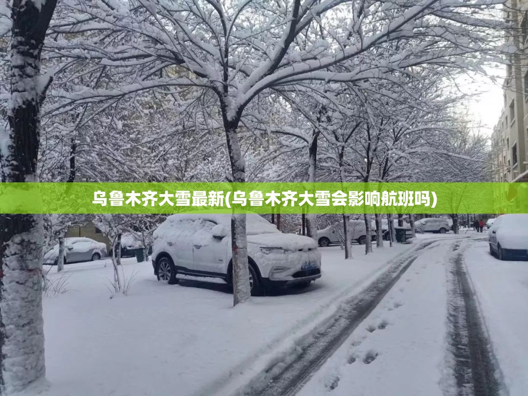 乌鲁木齐大雪最新(乌鲁木齐大雪会影响航班吗) 乌鲁木齐大雪最新(乌鲁木齐大雪会影响航班吗)