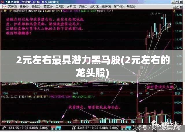 2元左右最具潜力黑马股(2元左右的龙头股)