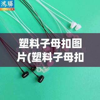 塑料子母扣图片(塑料子母扣怎么解开) 塑料子母扣图片(塑料子母扣怎么解开)
