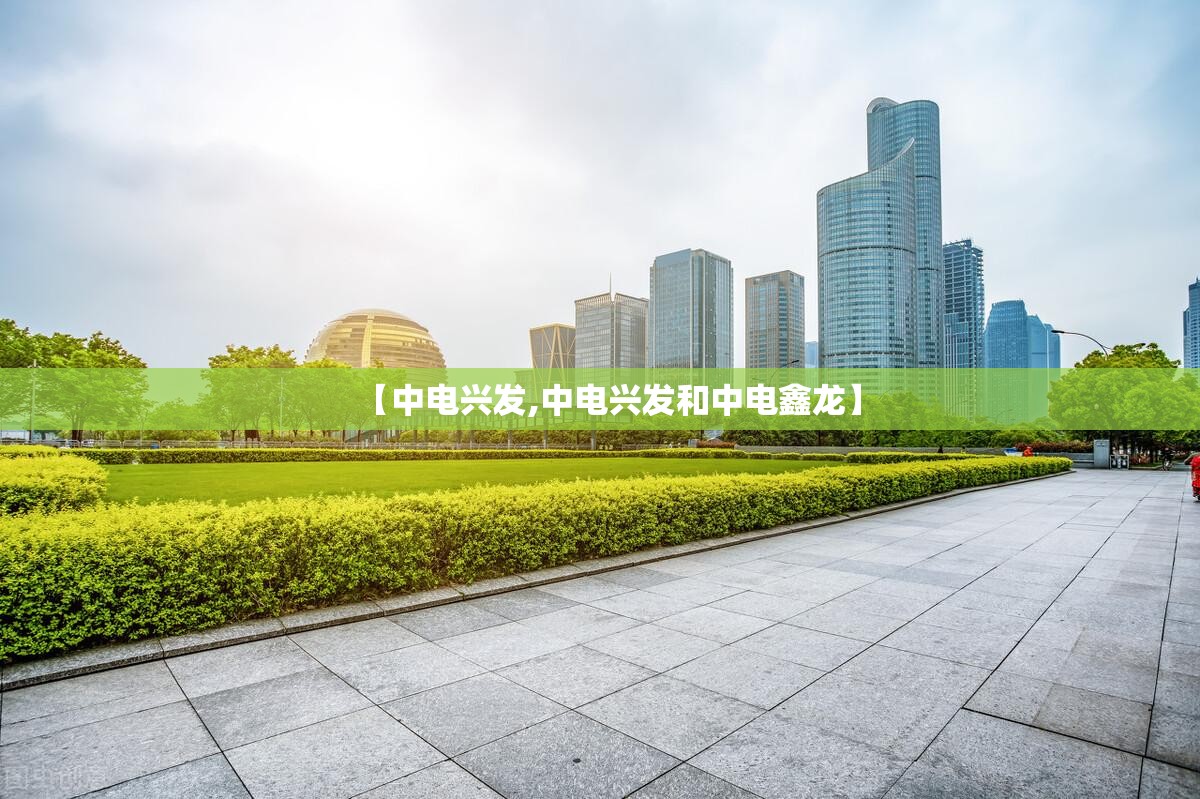 【中电兴发,中电兴发和中电鑫龙】