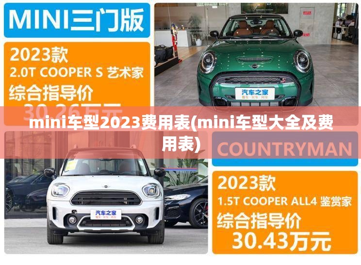 mini车型2023费用表(mini车型大全及费用表)