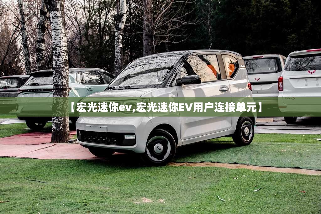 【宏光迷你ev,宏光迷你EV用户连接单元】
