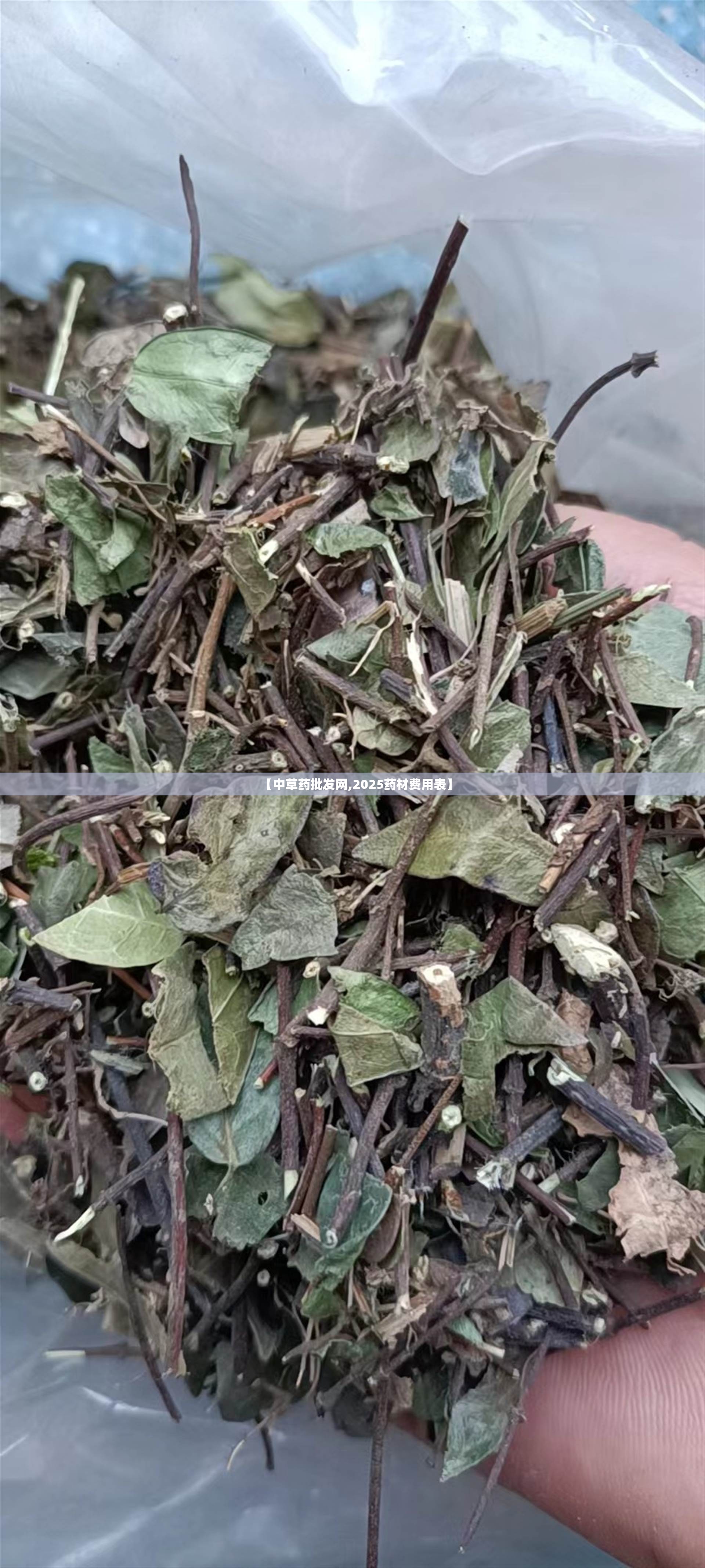 【中草药批发网,2025药材费用表】 【中草药批发网,2025药材费用表】