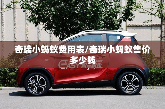 奇瑞小蚂蚁费用表/奇瑞小蚂蚁售价多少钱