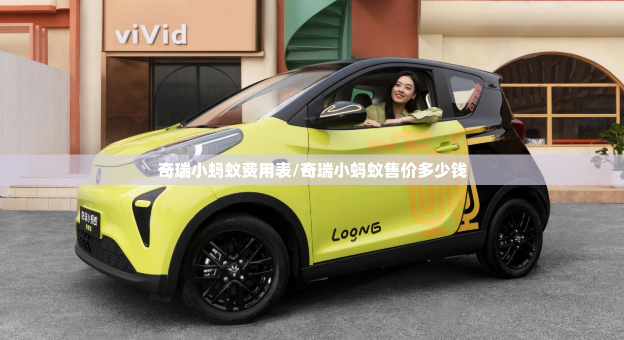 奇瑞小蚂蚁费用表/奇瑞小蚂蚁售价多少钱