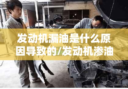 发动机漏油是什么原因导致的/发动机渗油是大问题吗