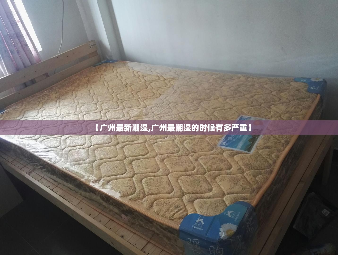 【广州最新潮湿,广州最潮湿的时候有多严重】 【广州最新潮湿,广州最潮湿的时候有多严重】
