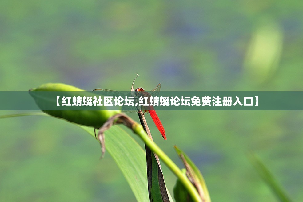 【红蜻蜓社区论坛,红蜻蜓论坛免费注册入口】