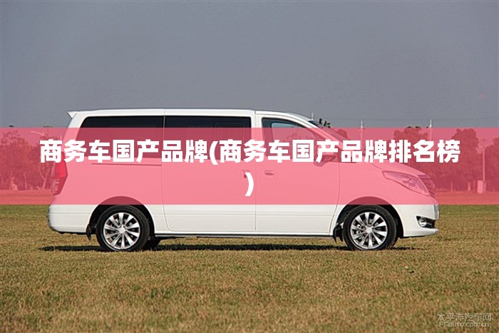 商务车国产品牌(商务车国产品牌排名榜) 商务车国产品牌(商务车国产品牌排名榜)