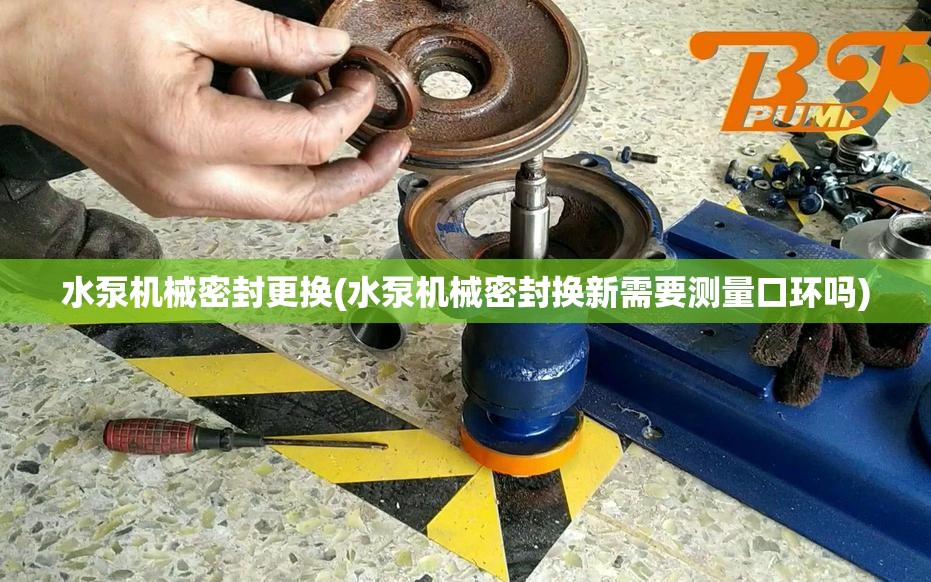 水泵机械密封更换(水泵机械密封换新需要测量口环吗)