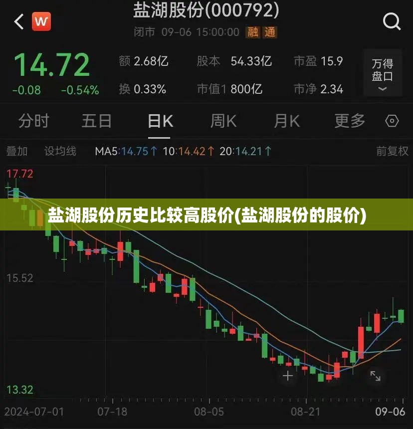 盐湖股份历史比较高股价(盐湖股份的股价) 盐湖股份历史比较高股价(盐湖股份的股价)