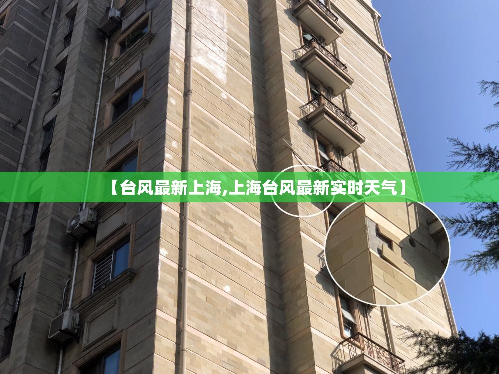 【台风最新上海,上海台风最新实时天气】