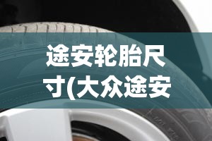 途安轮胎尺寸(大众途安轮胎规格) 途安轮胎尺寸(大众途安轮胎规格)