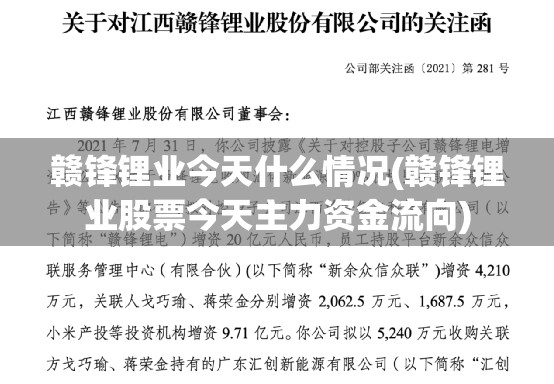 赣锋锂业今天什么情况(赣锋锂业股票今天主力资金流向)