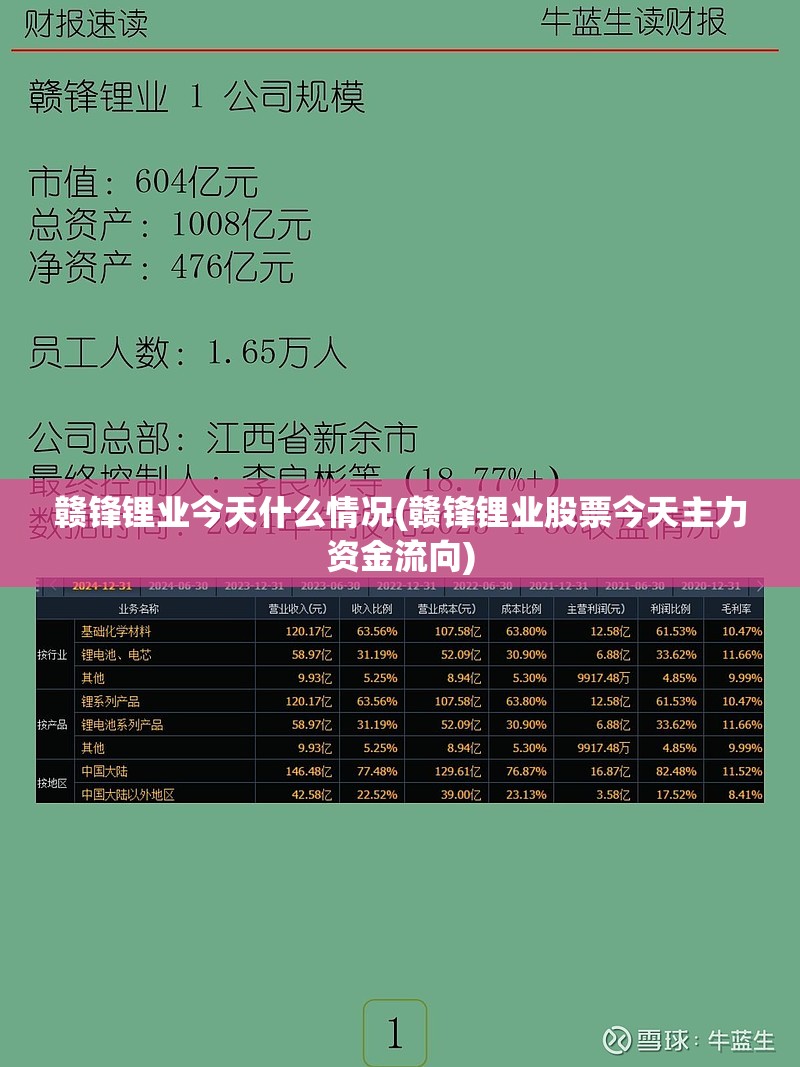 赣锋锂业今天什么情况(赣锋锂业股票今天主力资金流向)