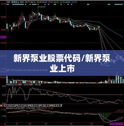 新界泵业股票代码/新界泵业上市