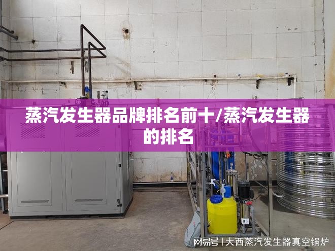蒸汽发生器品牌排名前十/蒸汽发生器的排名 蒸汽发生器品牌排名前十/蒸汽发生器的排名