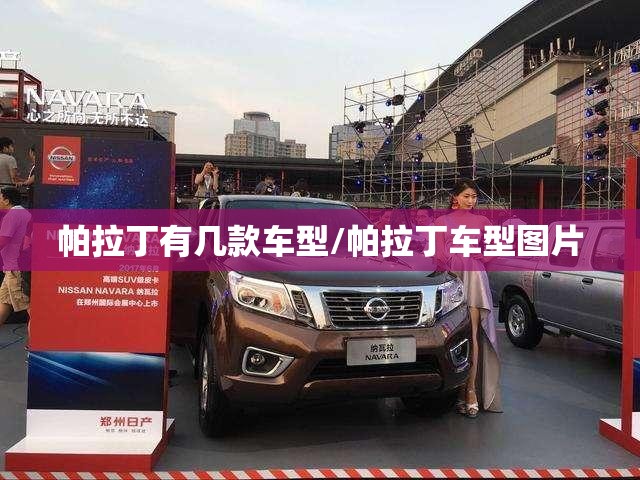 帕拉丁有几款车型/帕拉丁车型图片