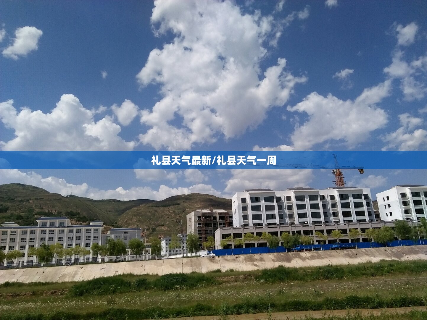 礼县天气最新/礼县天气一周