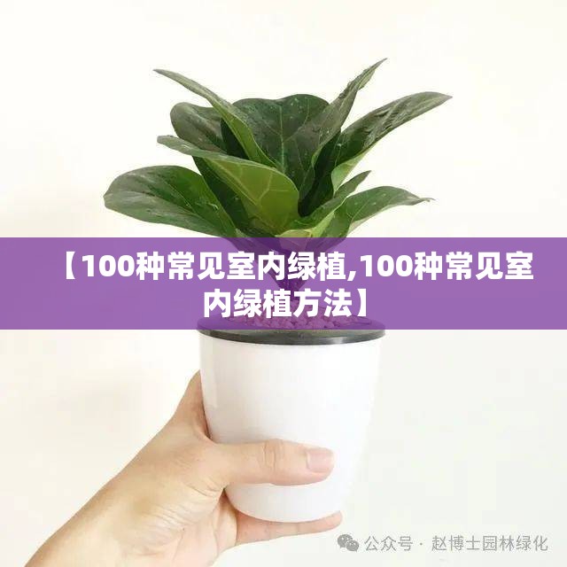 【100种常见室内绿植,100种常见室内绿植方法】 【100种常见室内绿植,100种常见室内绿植方法】