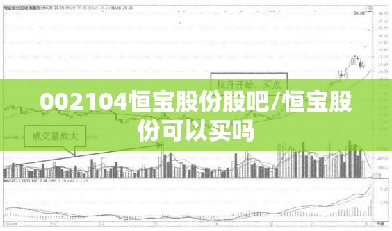 002104恒宝股份股吧/恒宝股份可以买吗