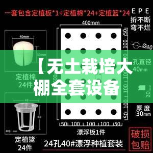 【无土栽培大棚全套设备多少钱,无土栽培加智能大棚】