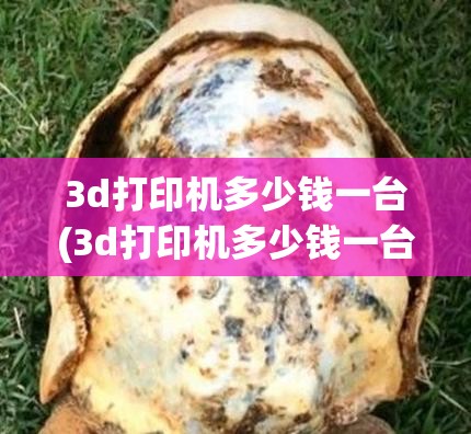 3d打印机多少钱一台(3d打印机多少钱一台最便宜)